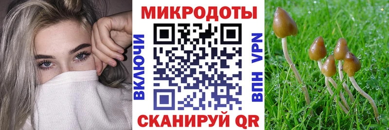купить наркоту  Осташков  Псилоцибиновые грибы мицелий 